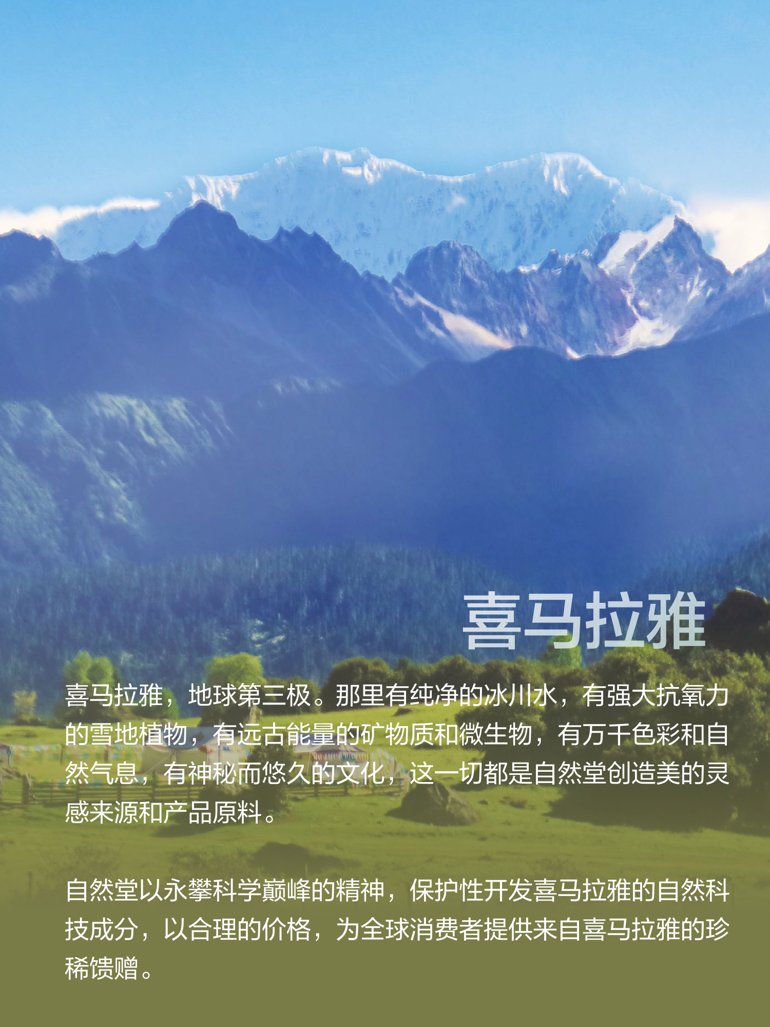测试图片2